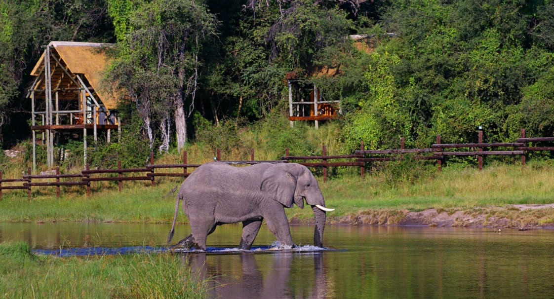 Savuti Channel, Chobe National Park, Botswana